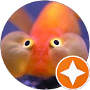 Alexandru Alex profile picture